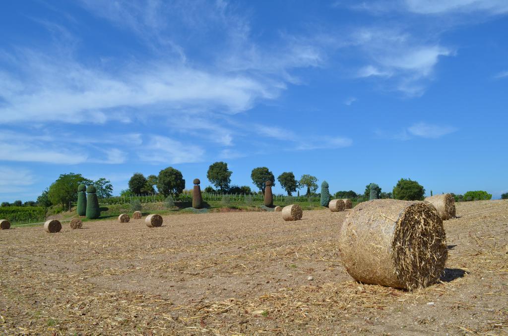 Agriturismo Dondino Cavriana Eksteriør billede