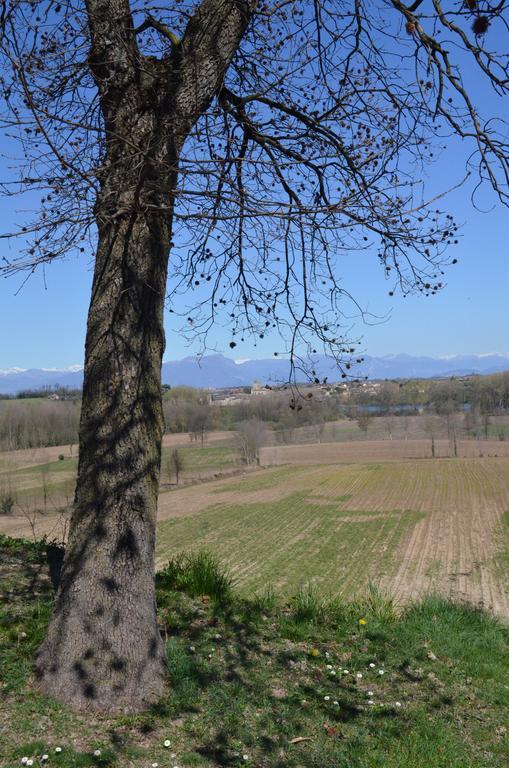Agriturismo Dondino Cavriana Eksteriør billede