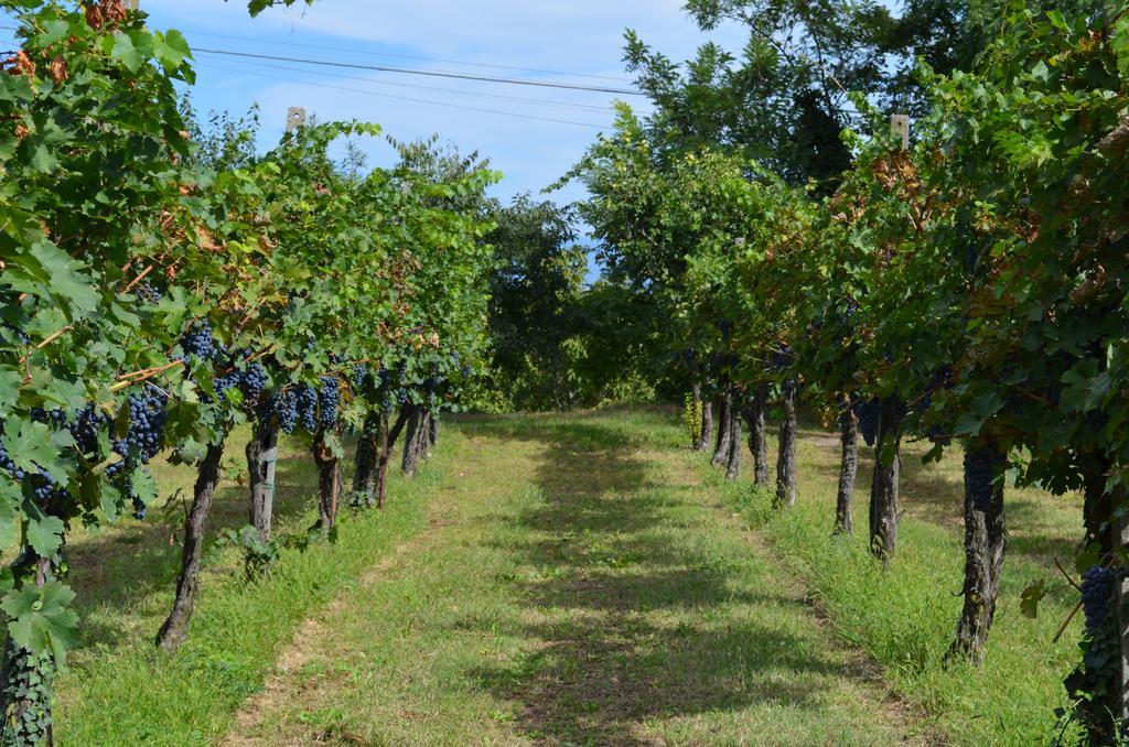 Agriturismo Dondino Cavriana Eksteriør billede