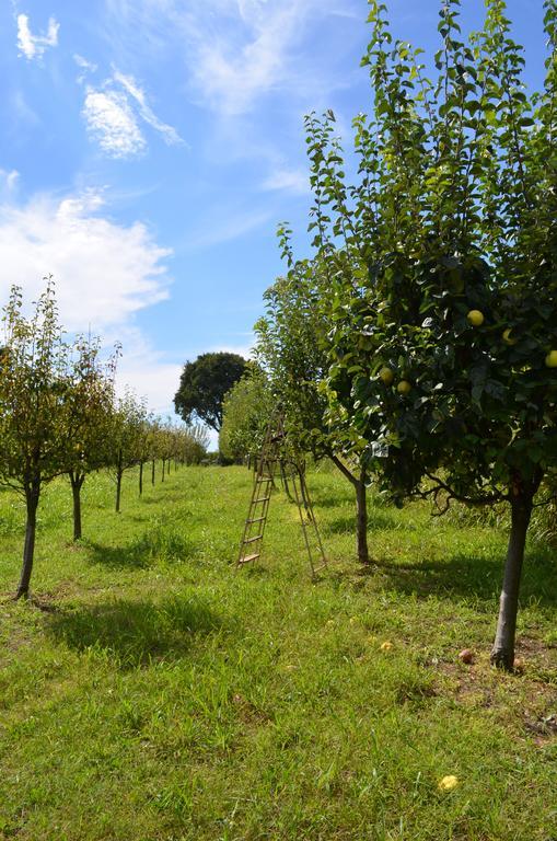 Agriturismo Dondino Cavriana Eksteriør billede